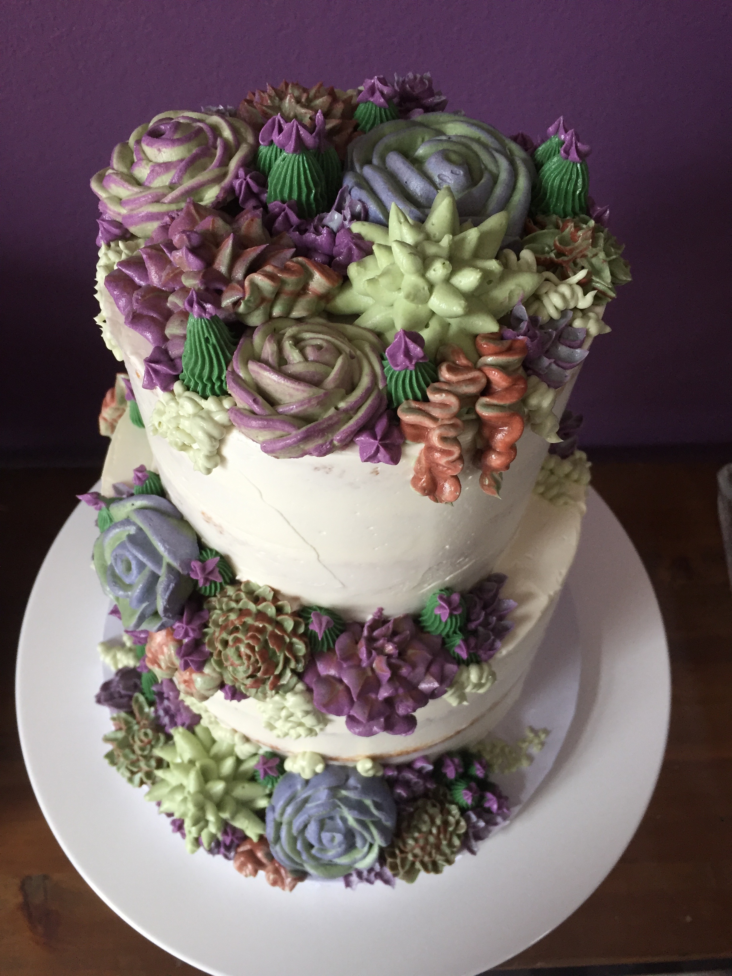 Two Tiered Succulent Cake - Amuse Bake Shop