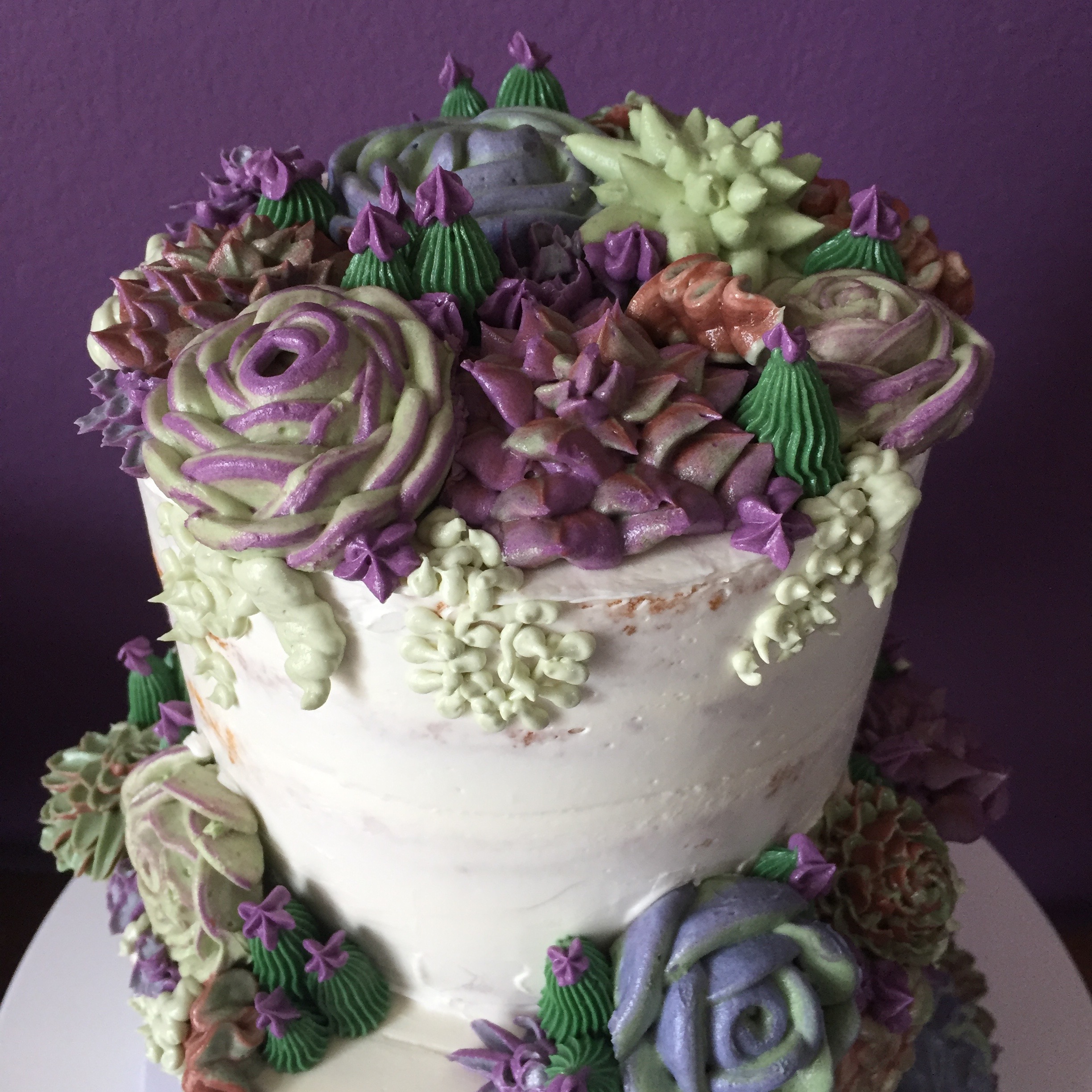 Two Tiered Succulent Cake - Amuse Bake Shop