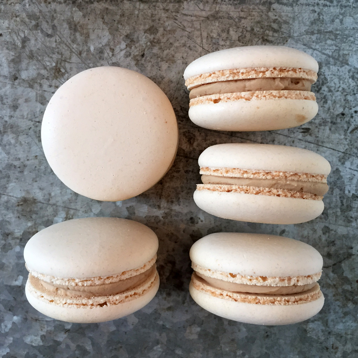 Dallas Fort Worth Bakery macarons and dessert bars for weddings and events